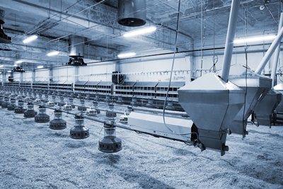 에스K닥트 PC 이미지 6038063